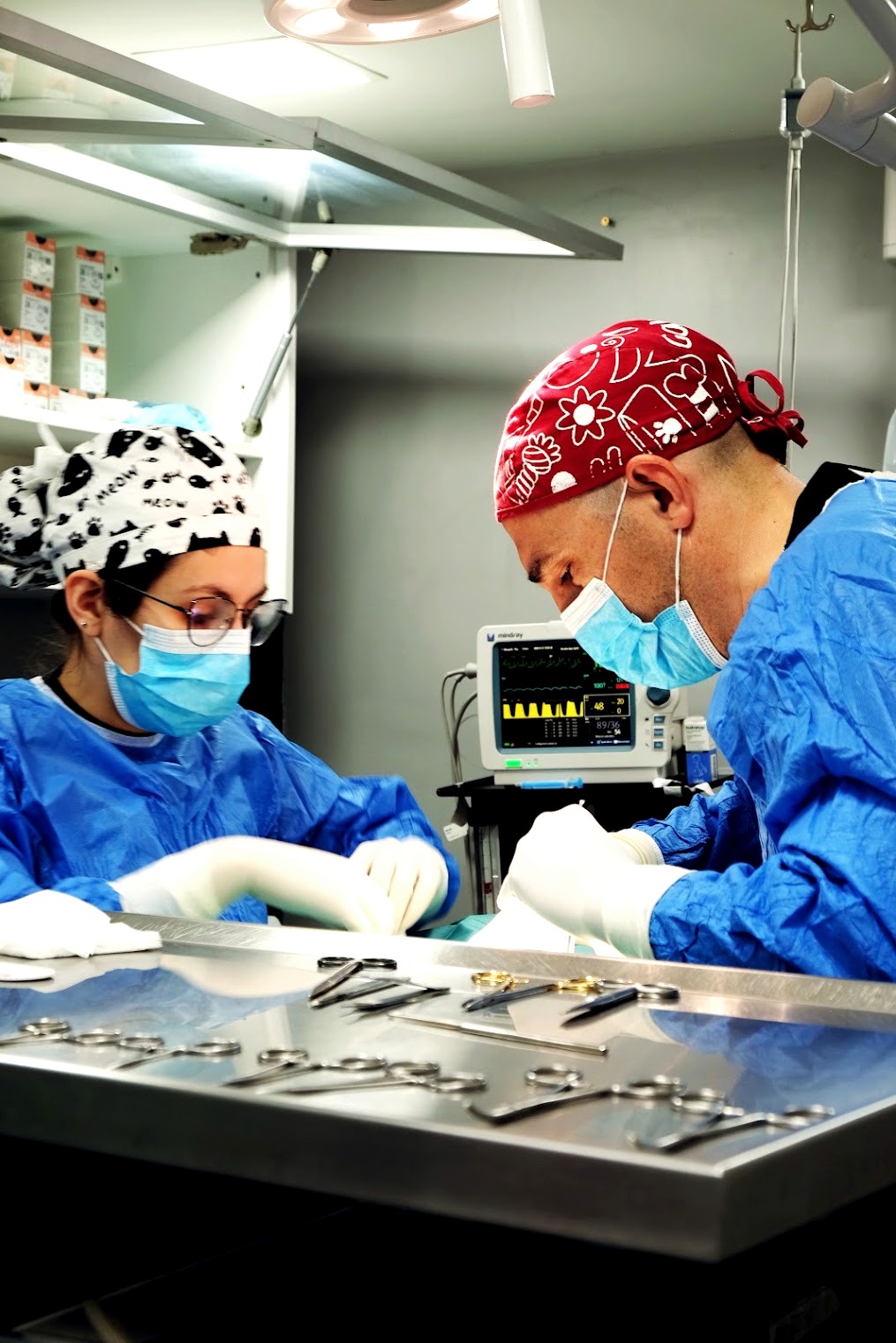 Cirurgia veterinária
